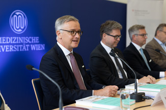 Bild 12 / 47