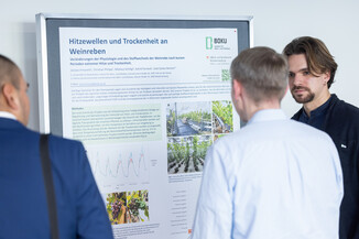 Bild 181 / 242