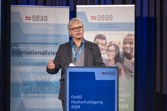 Bild 8 / 278