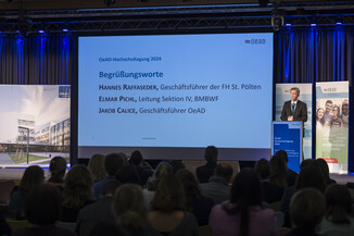 Bild 12 / 278