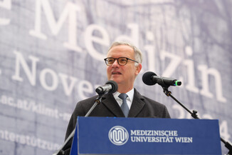 Bild 6 / 30