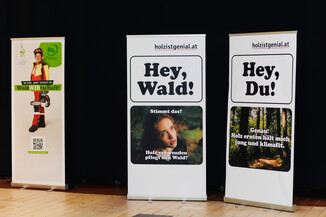 Bild 72 / 278