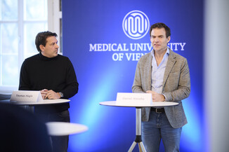 Bild 9 / 12