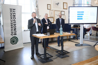 Bild 7 / 23