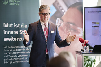 Bild 4 / 10