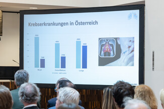 Bild 171 / 208