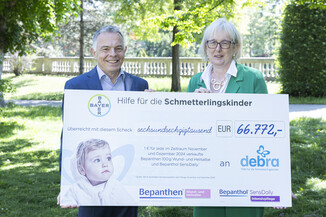 Bild 1 / 14