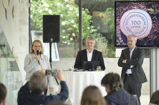 Bild 14 / 14