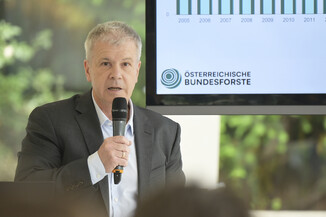 Bild 8 / 14