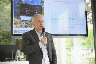 Bild 9 / 14