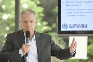 Bild 7 / 14
