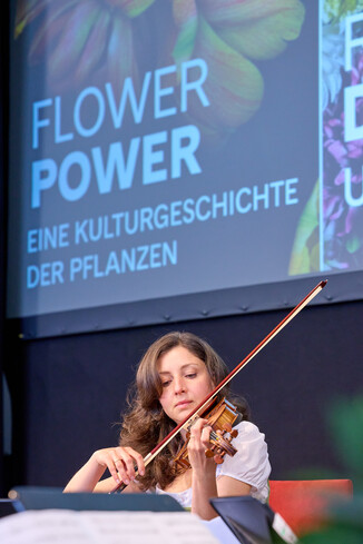 Bild 31 / 33