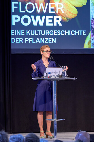 Bild 25 / 33