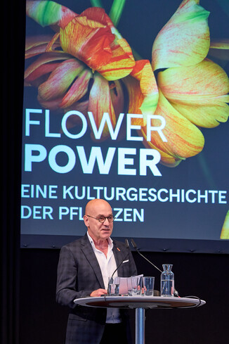 Bild 3 / 33