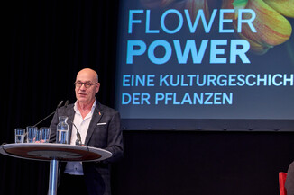 Bild 26 / 33