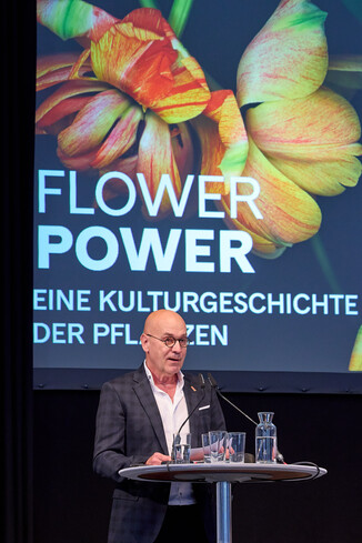 Bild 29 / 33