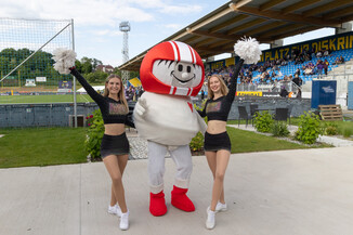 Bild 191 / 271