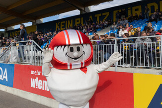 Bild 193 / 271