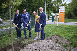 Bild 3 / 214