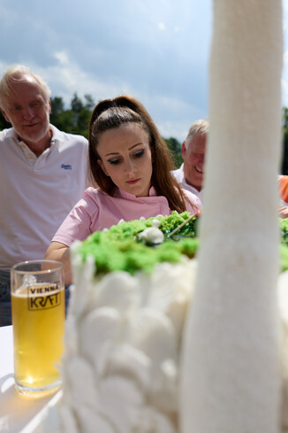 Bild 30 / 98