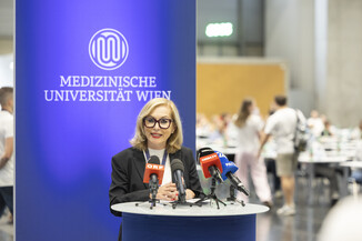 Bild 10 / 17