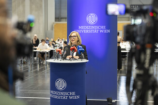 Bild 12 / 17