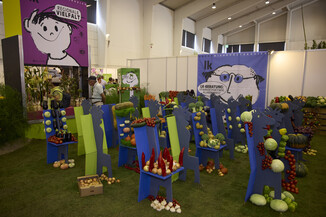 Bild 121 / 126