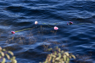 Bild 44 / 49