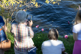 Bild 45 / 49