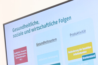 Bild 13 / 16