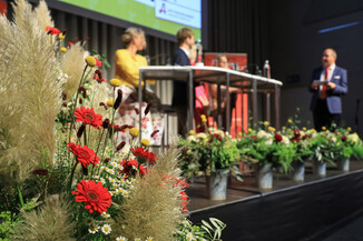 Bild 195 / 415