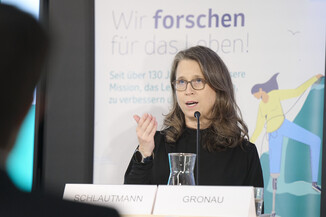 Bild 12 / 29