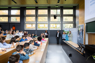 Bild 13 / 156