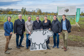 Bild 10 / 49