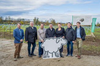 Bild 11 / 49