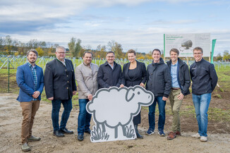 Bild 14 / 49