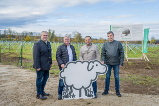 Bild 15 / 49