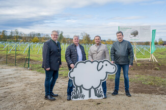 Bild 16 / 49