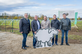 Bild 17 / 49