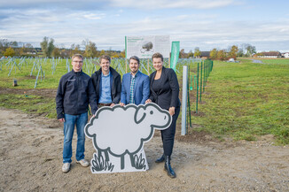Bild 21 / 49