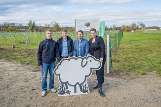 Bild 22 / 49