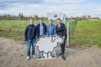 Bild 23 / 49