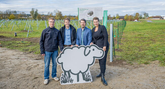 Bild 24 / 49