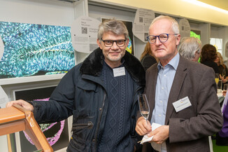 Bild 31 / 215