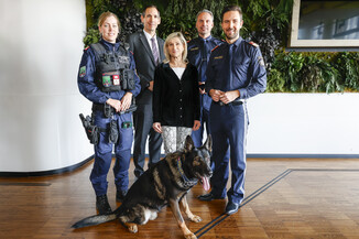 Bild 5 / 21