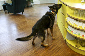 Bild 9 / 21