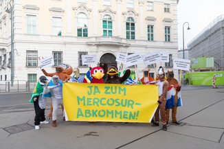 Bild 3 / 14