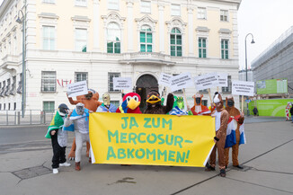 Bild 4 / 14