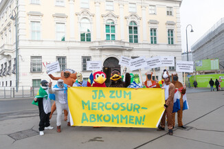 Bild 5 / 14