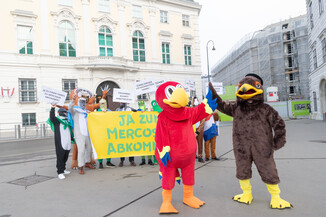 Bild 12 / 14